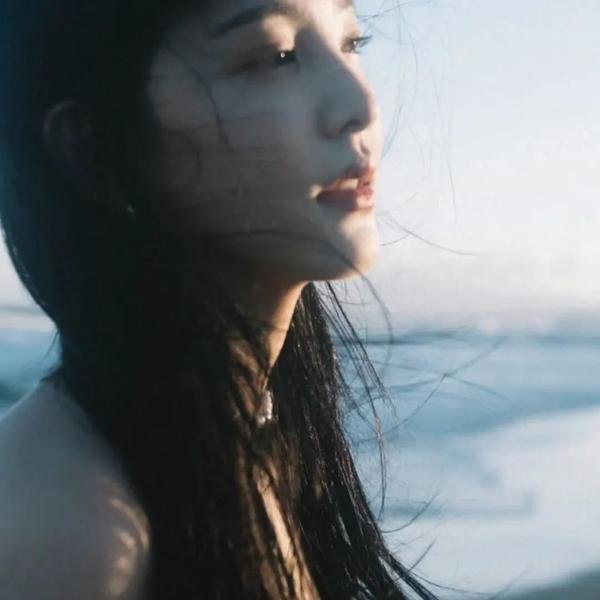 至上之法